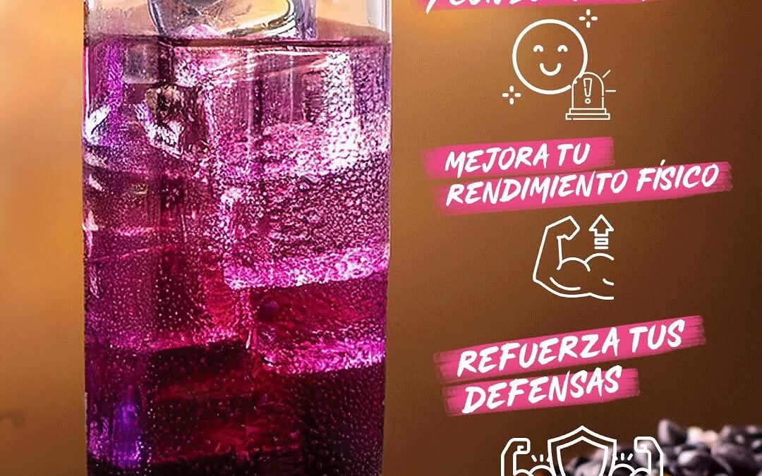 ⚡ Vita Xtra T+ vs Thermo T3: ¿cuál es mejor para ti?