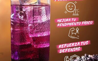 ⚡ Vita Xtra T+ vs Thermo T3: ¿cuál es mejor para ti?